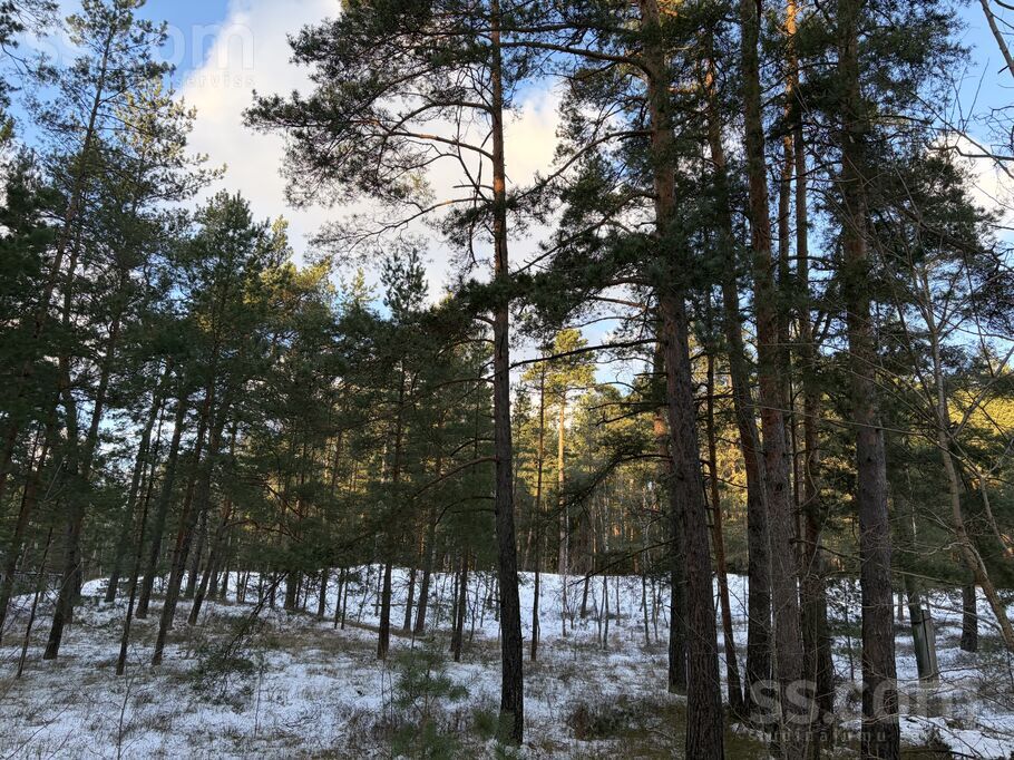 Brīzes 34, Rīga — zeme