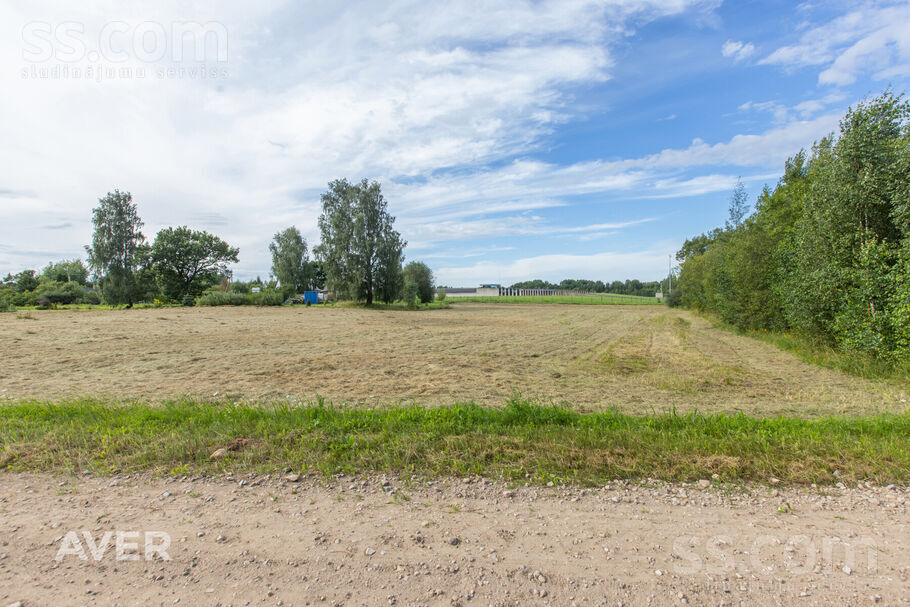 Suitiņu ceļš 9, Daugmale, Rīgas rajons, Daugmales pag. — zeme