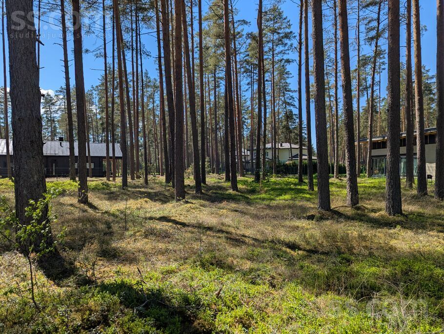 Astrīdas iela 15, Baltezers, Rīgas rajons, Garkalnes nov. — zeme