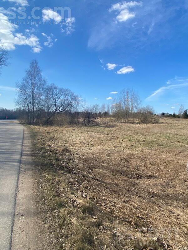 Ventasdziedi 1, Venta, Kuldīga un raj., Rumbas pag. — zeme