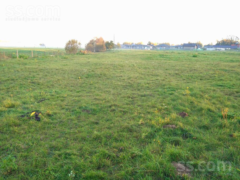 Meža 52, Rīgas rajons, Salaspils — zeme