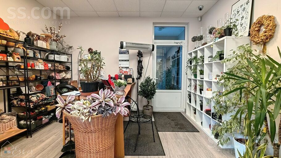 Bauskas 33, Rīga, Torņakalns — telpa