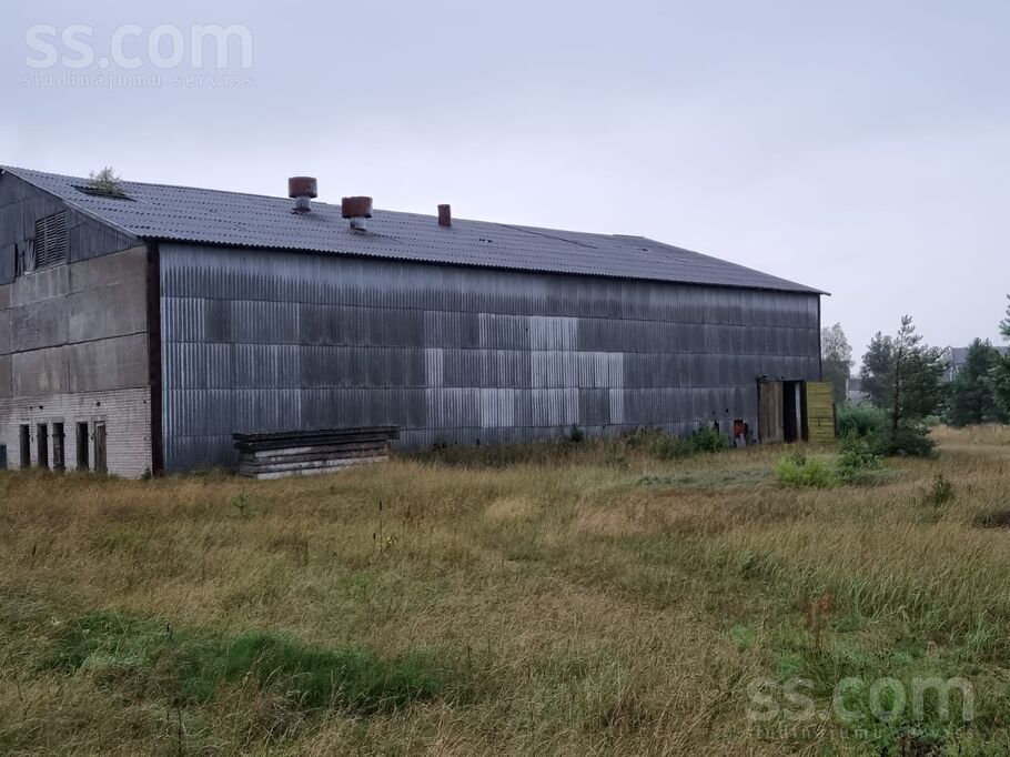 Riņķa iela 7, Ventspils un raj., Piltene — telpa