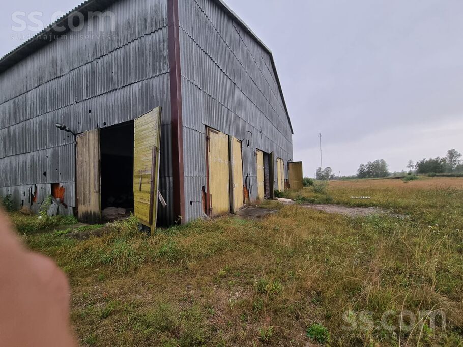 Riņķa iela 7, Ventspils un raj., Piltene — telpa