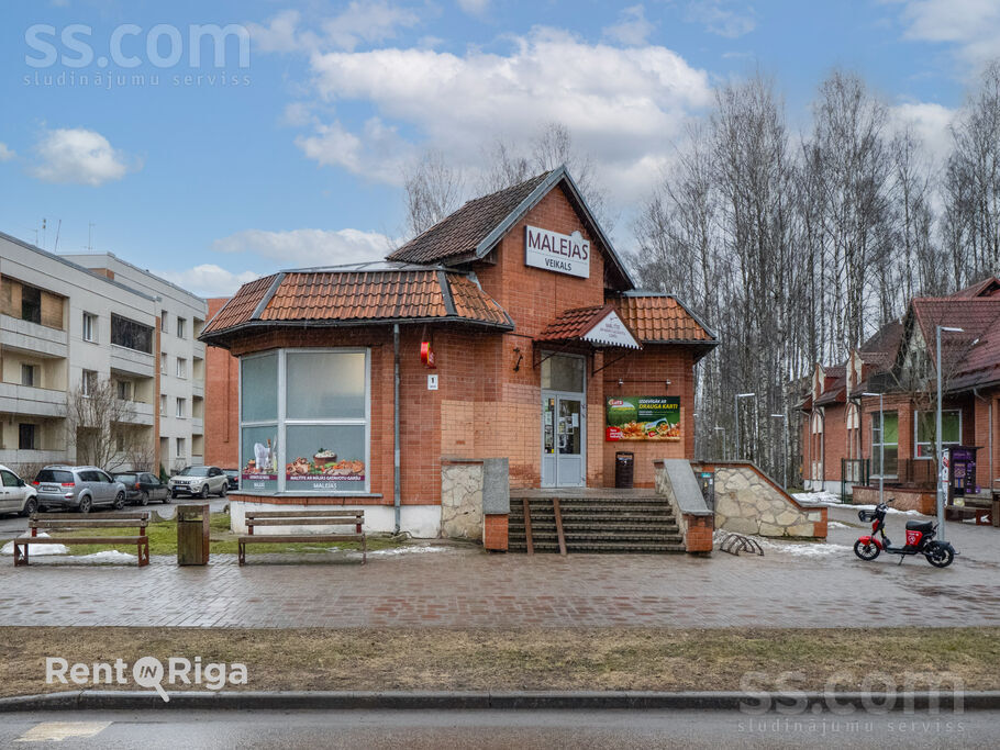 Zaļā 1, Rīgas rajons, Baloži — maja