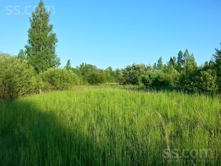 Jaunkaziķi, Dole, Rīgas rajons, Salaspils l. t. — zeme