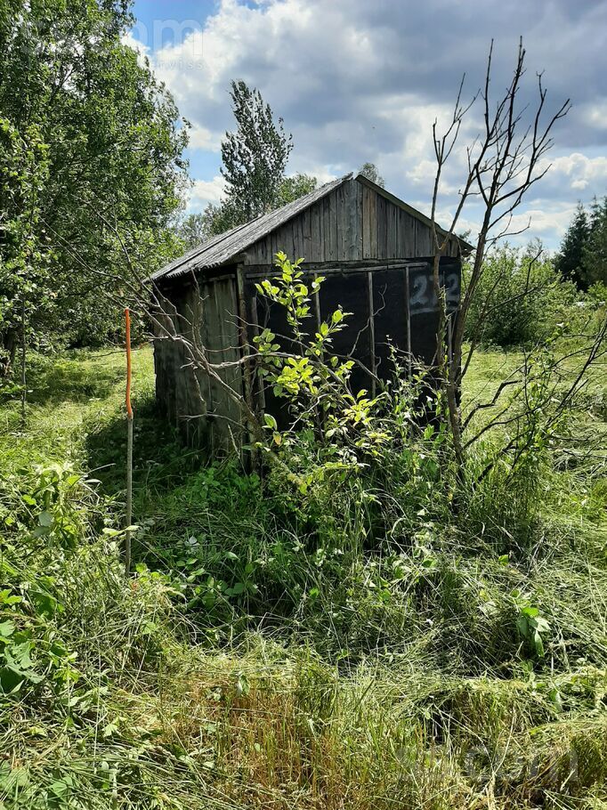 Daugava 272, Daugava, Daugavpils un raj., Kalkūnes pag. — zeme