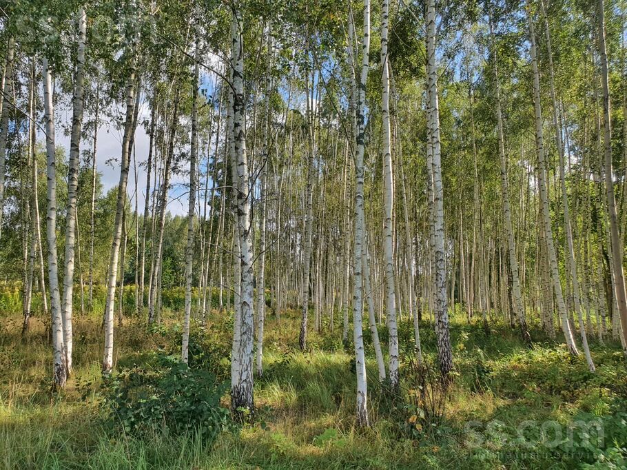 Jaunkraujas 1, Alejas, Rīgas rajons, Ķekavas pag. — zeme