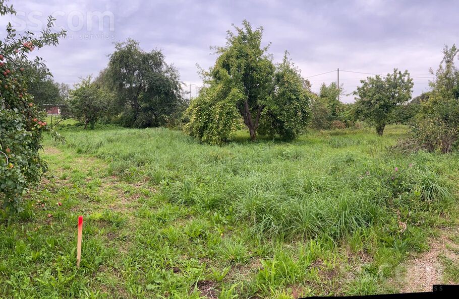 Lerha-Puškaiša 31a, Talsi un raj., Talsi — zeme