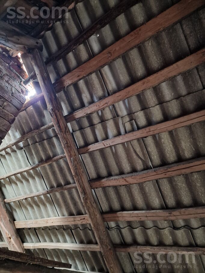 Vite, Rīgas rajons, Mālpils pag. — vienseta