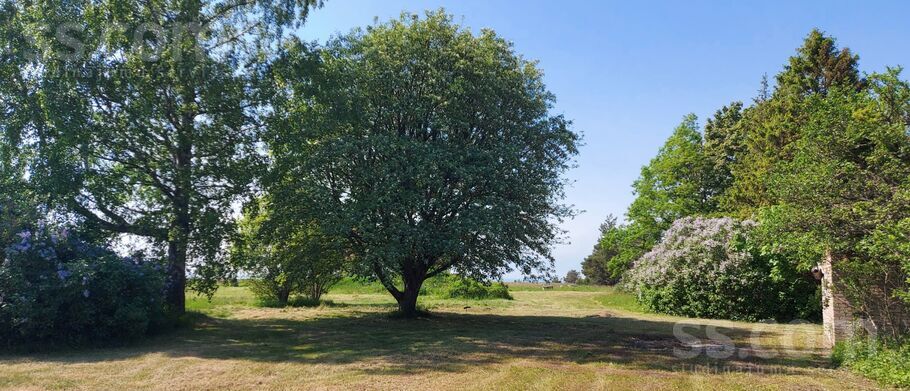 Kļavnieki, Ulmale, Liepāja un raj., Sakas pag. — maja