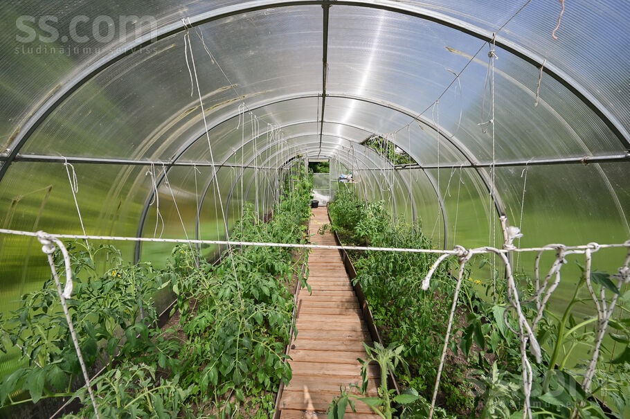 Dzenu iela 6, Kalngale, Rīgas rajons, Carnikavas nov. — maja