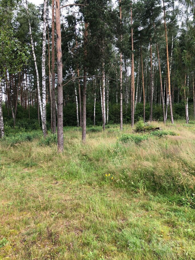 Amatu iela, Krogsils, Rīgas rajons, Ķekavas pag. — zeme