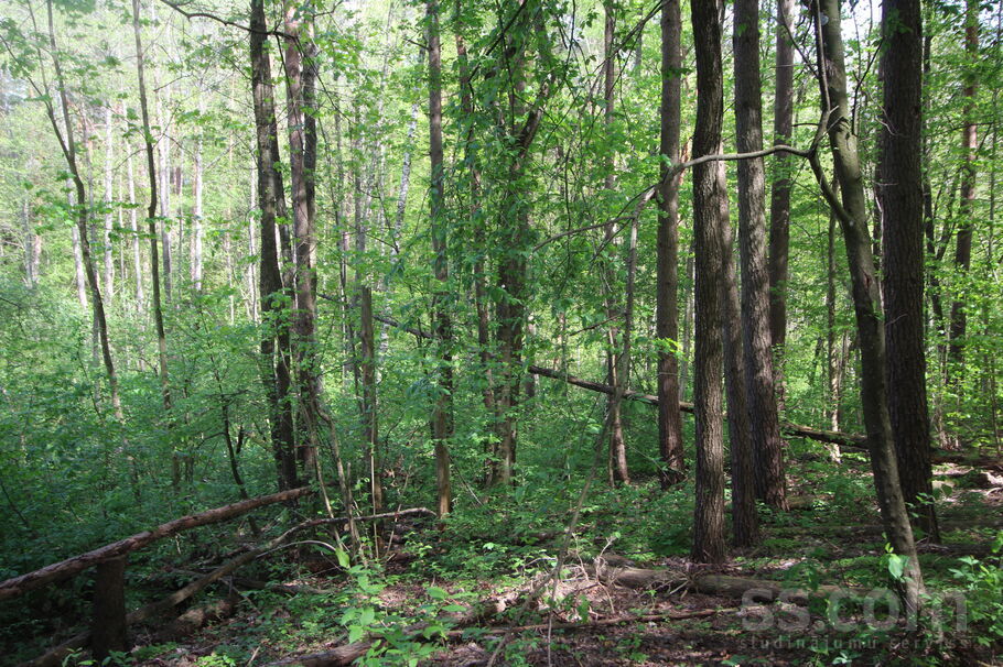 Kāši-Ventas, Daugavpils un raj., Medumu pag. — zeme