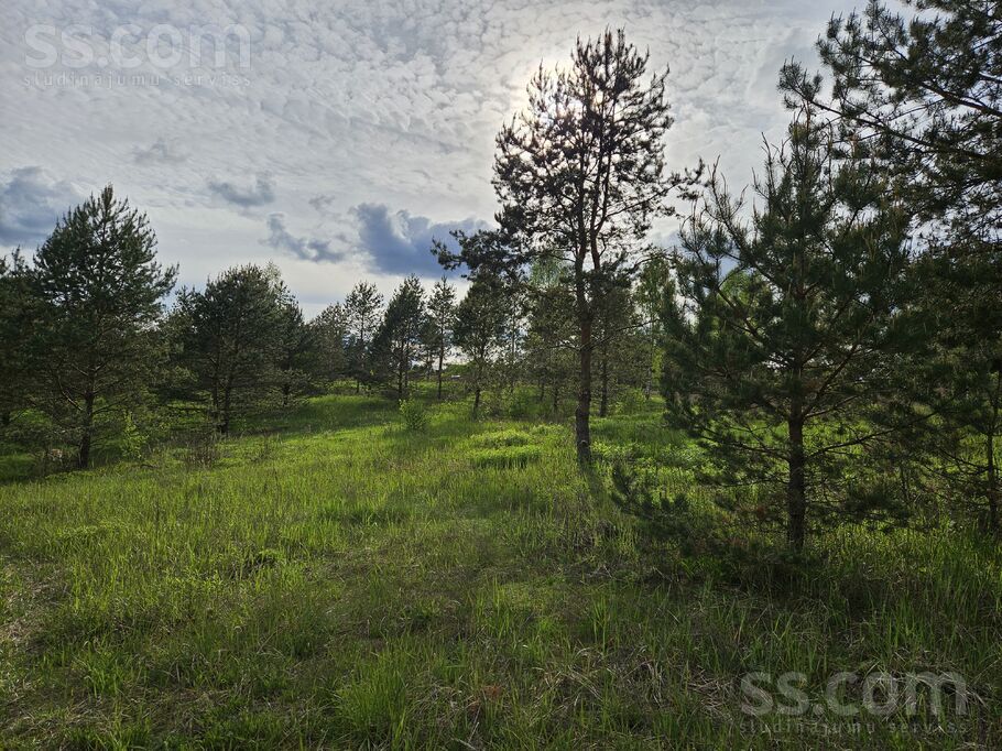 Pieneņu ceļš 19, Ogre un raj., Ogre — zeme