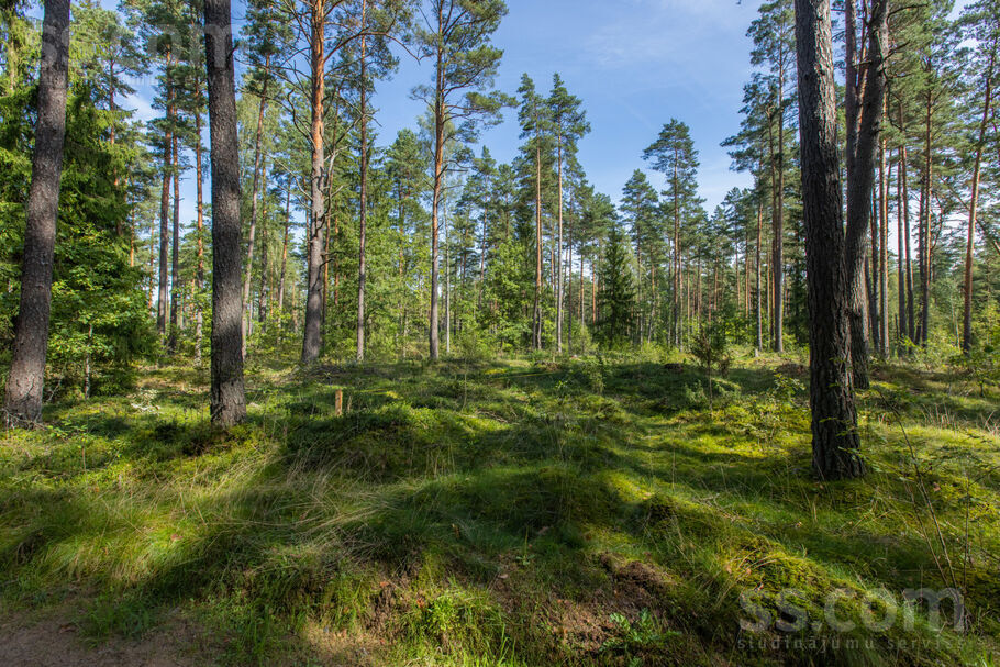 Gārņu iela 16, Makstenieki, Rīgas rajons, Garkalnes nov. — zeme