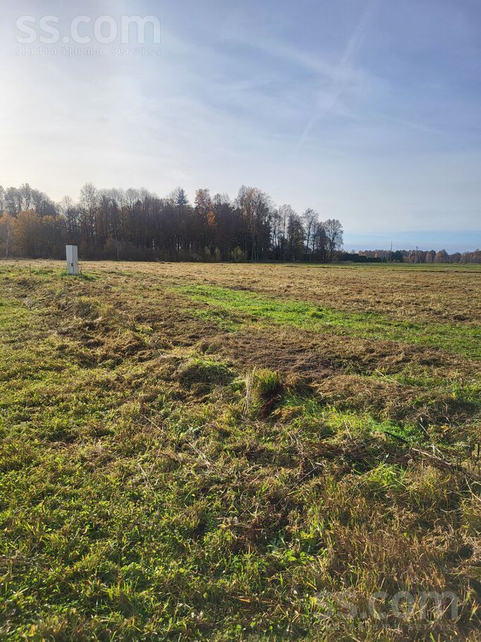 Selgas 3, Pēternieki, Rīgas rajons, Olaines pag. — zeme