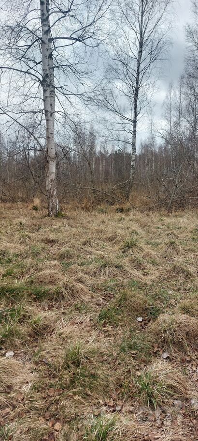 Līnas, Bigauņciems, Tukums un raj. — zeme