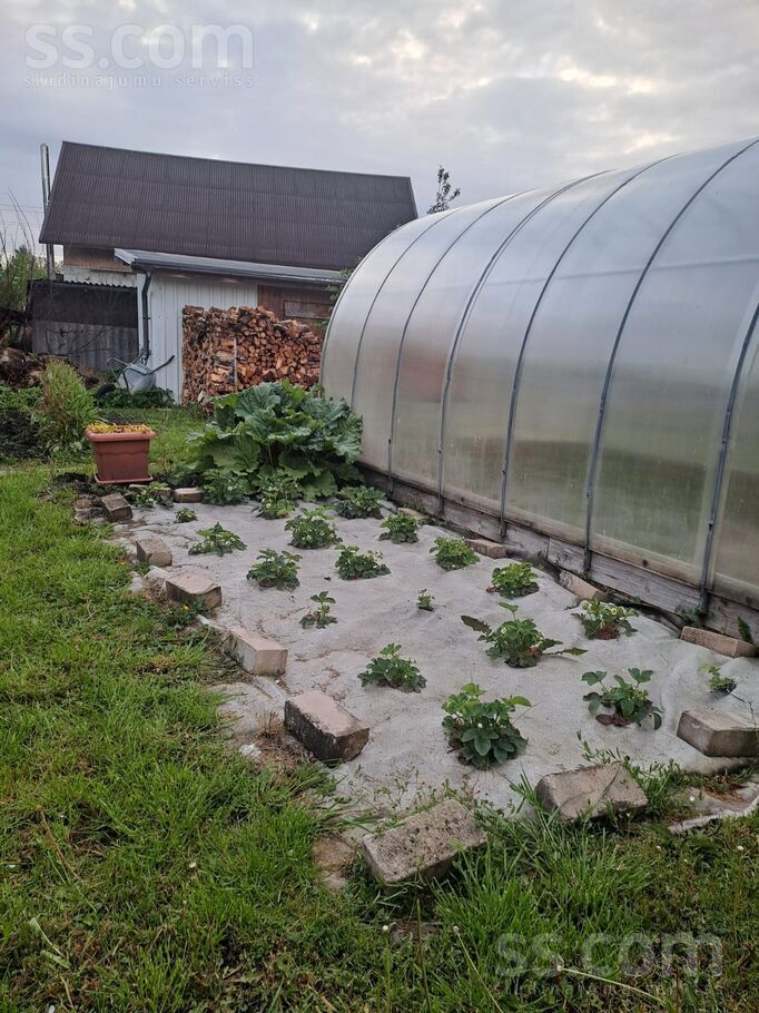 Dārziņu 7. Līnija 4, Lībieškalns, Ogre un raj., Ogresgala pag. — maja