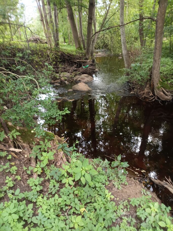 Daugavas iela 100, Skrīveri, Aizkraukle un raj., Skrīveru pag. — maja