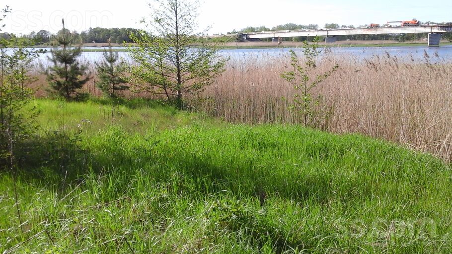 Saules, Gātciems, Rīgas rajons, Salas pag. — zeme