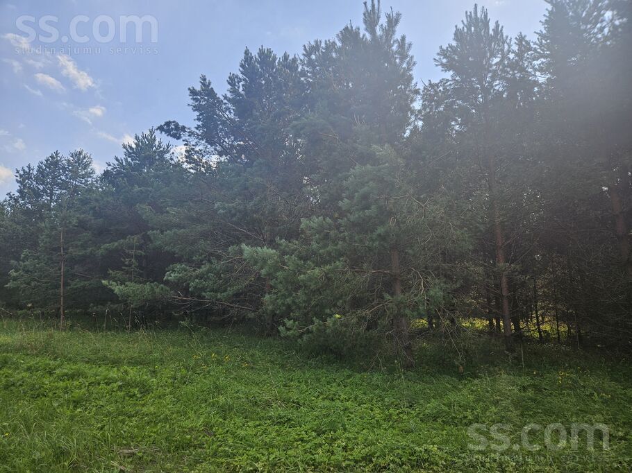 Līču ceļš 9, Jelgava un raj., Valgundes nov. — zeme