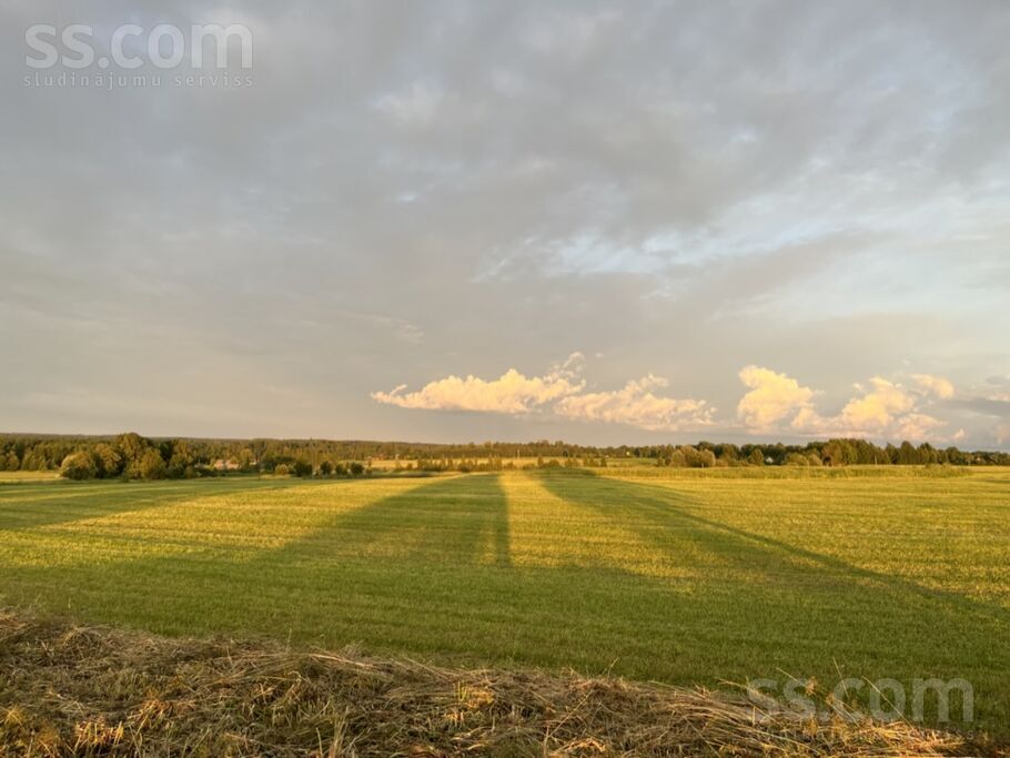 Vieķi, Cēsis un raj., Raunas pag. — maja