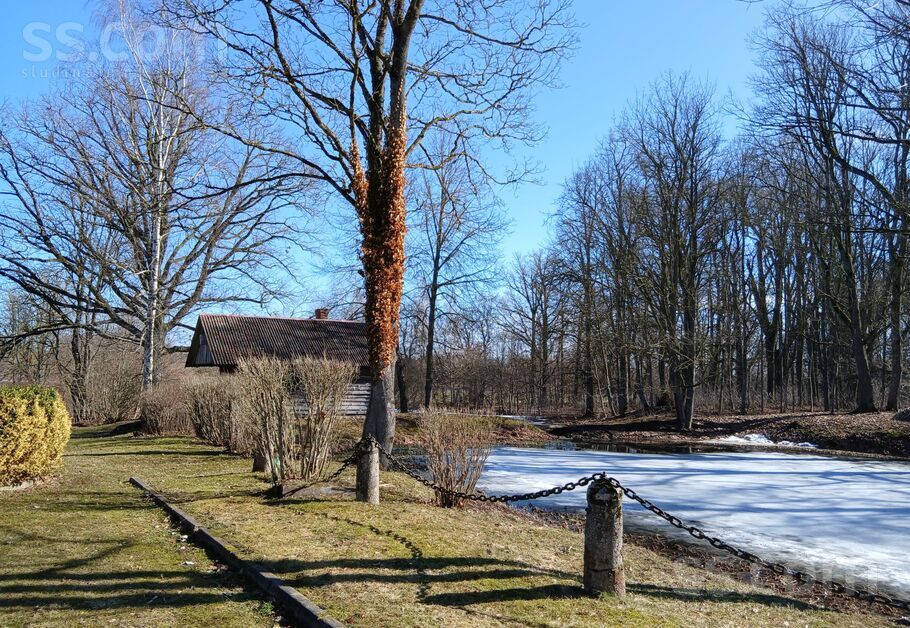 Viesturi, Bauska un raj., Viesturu pag. — vienseta