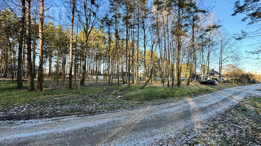 Priežu iela 11, Ciemupe, Ogre un raj., Ogresgala pag. — zeme
