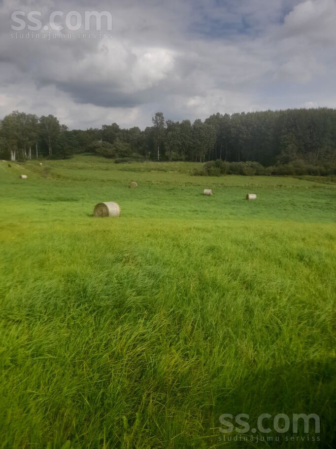 Ziedmalas,, Veclauki, Tukums un raj., Jaunpils pag. — zeme