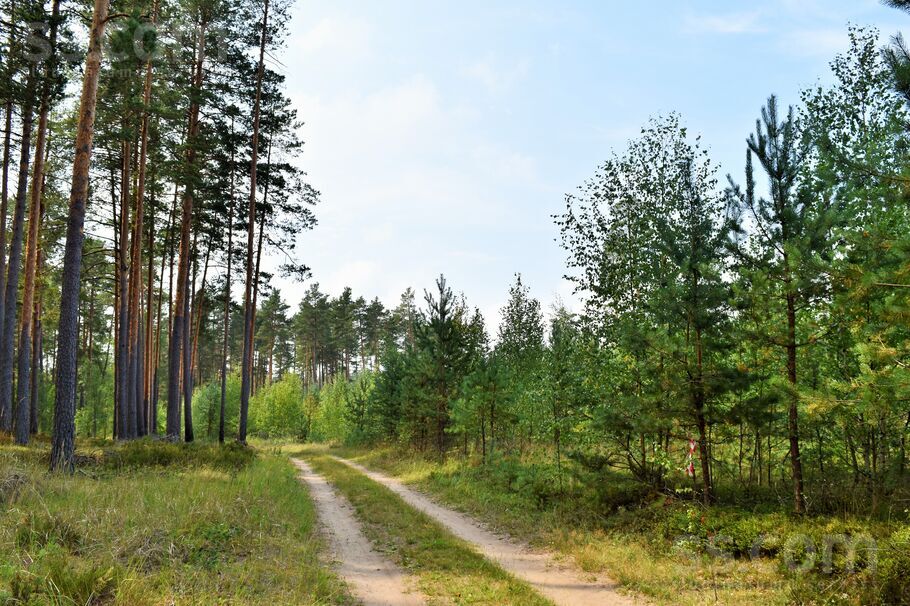 Kociņi, Kadaga, Rīgas rajons, Ādažu nov. — zeme