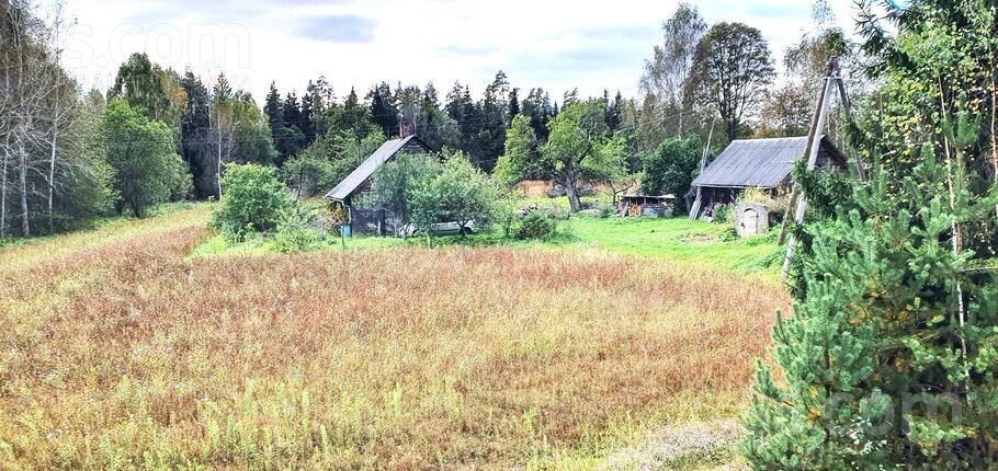 Mežāre, Jēkabpils un raj., Mežāres pag. — vienseta