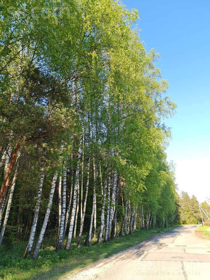 Garā Jūdze 51, Upesciems, Rīgas rajons, Garkalnes nov. — dzivoklis
