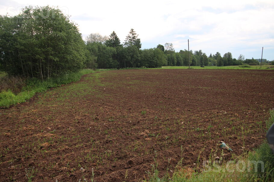 Rozes, Ustroņi, Rēzekne un raj., Sokolku pag. — zeme