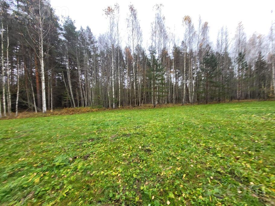 Nomalnieki, Vireši, Alūksne un raj., Virešu pag. — zeme