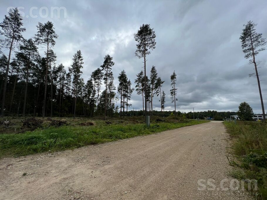 Palu iela, Sēbruciems, Rīgas rajons, Babītes pag. — zeme