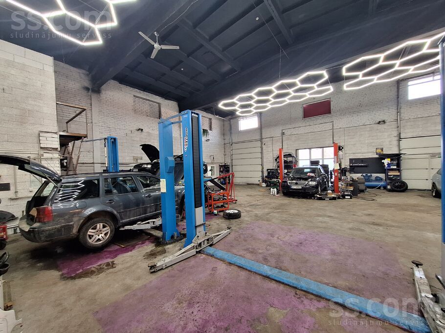 Meža ceļš 2, Raubēni, Jelgava un raj., Cenu pag. — telpa