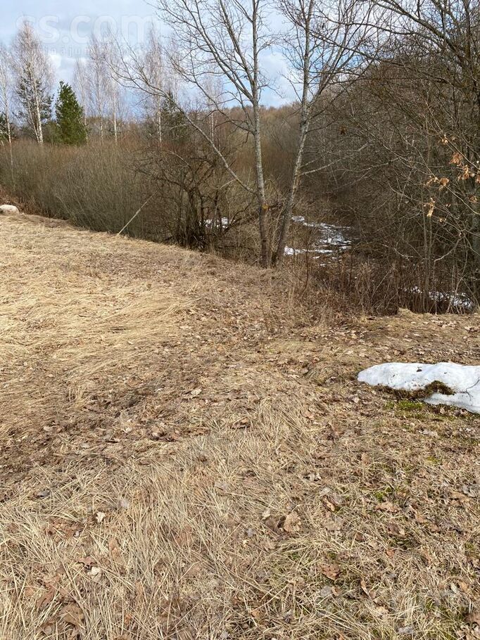 Pelnupes iela 7, Balvi un raj., Balvi — zeme