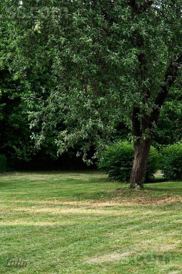 Rucavas, Rīga — zeme