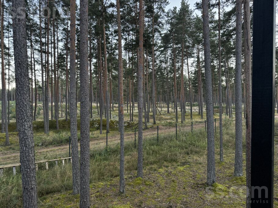 Ričarda 38, Baltezers, Rīgas rajons, Ādažu nov. — maja
