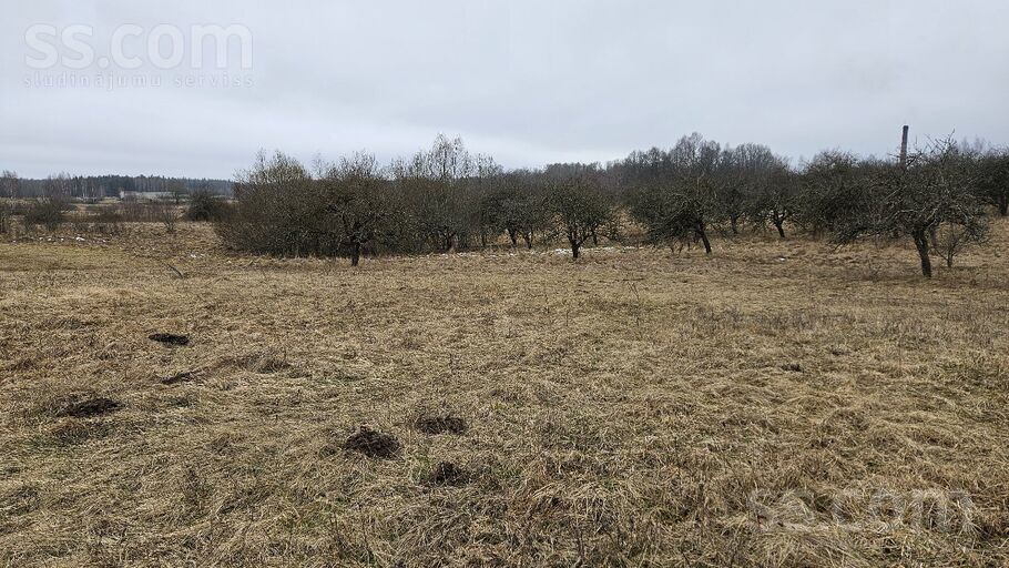 Rāznas iela 12, Lūznava, Rēzekne un raj., Lūznavas pag. — zeme