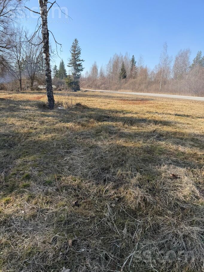 Aiviekstes iela 2, Aizkraukle un raj., Pļaviņas — zeme