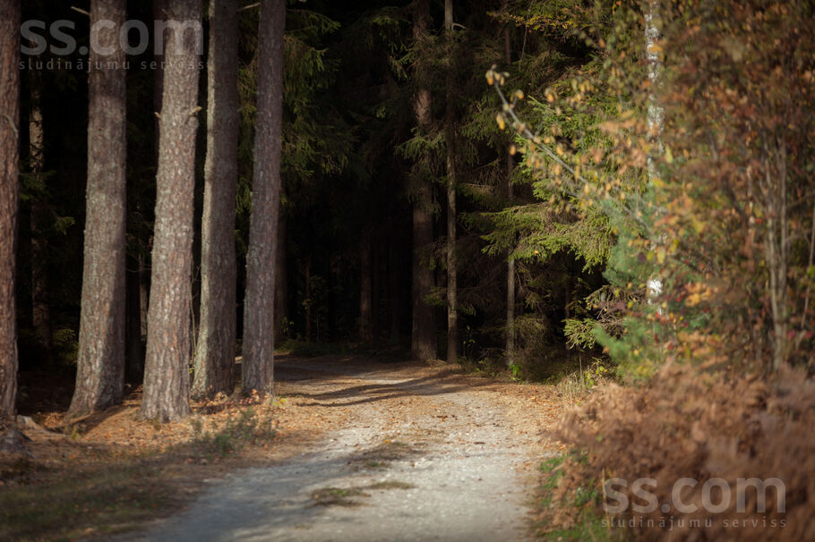 Upes krasts, Līči, Rīgas rajons, Saulkrastu l. t. — zeme