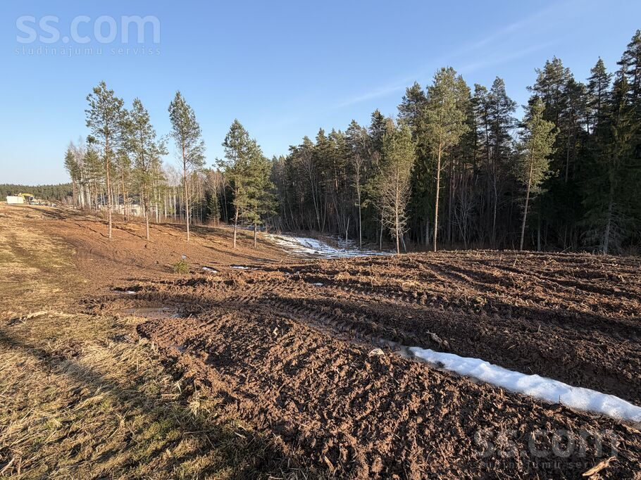 Toma iela 6, Priekuļi, Cēsis un raj., Priekuļu pag. — zeme