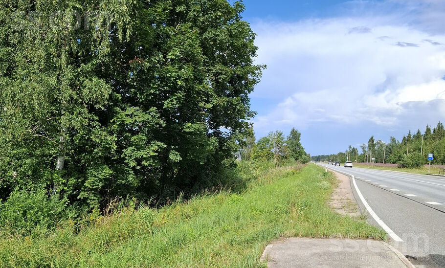 Baltegle, Trenči, Rīgas rajons, Babītes pag. — zeme