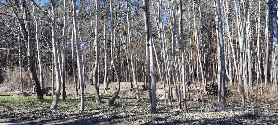 Dumbrāja 11, Rīga — zeme