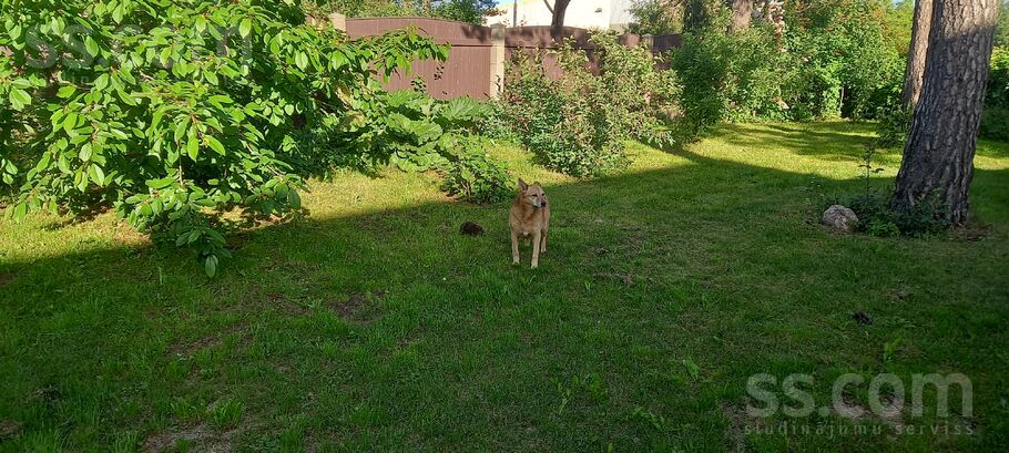 Latgales 12, Rīga — maja