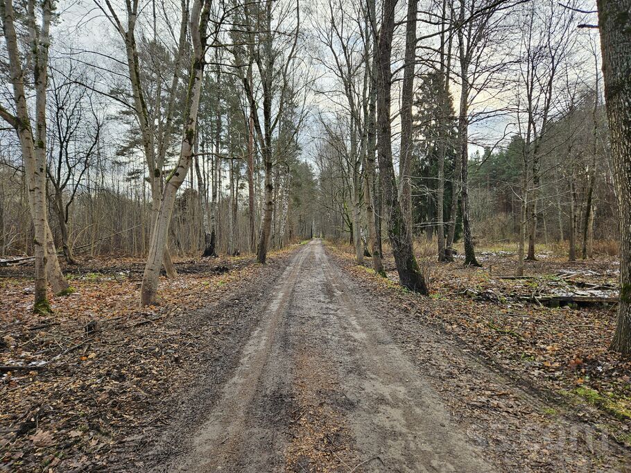 Ulmaņa g. bn, Rīga — zeme