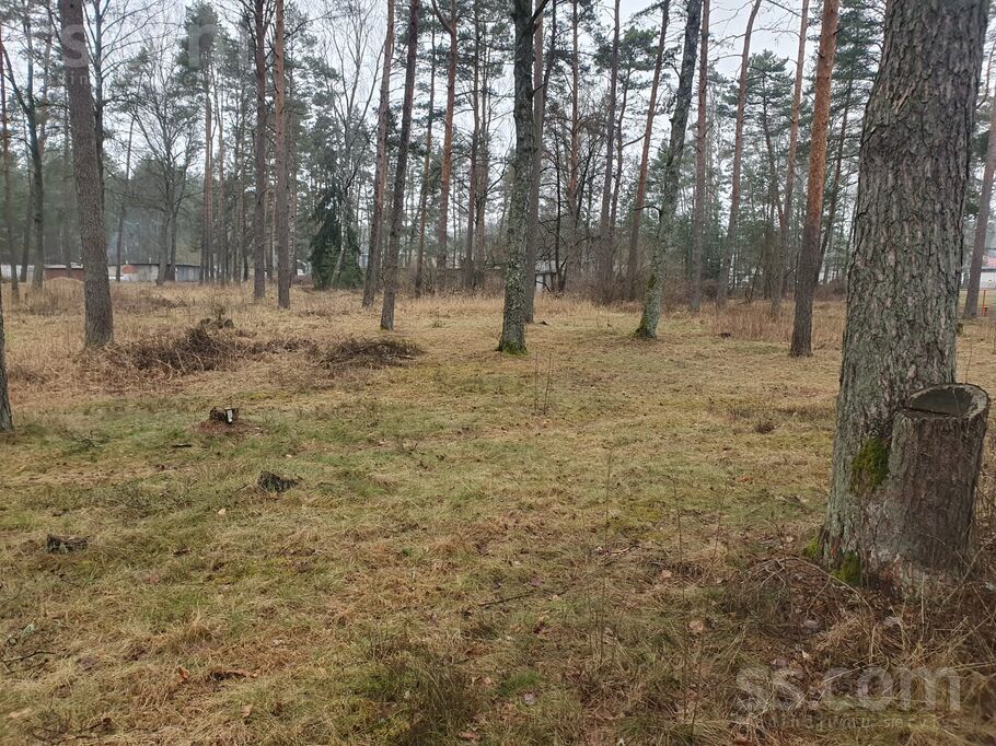 Jaunceltnes iela, Mucenieki, Rīgas rajons, Ropažu nov. — zeme