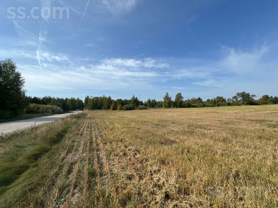 Driādes, Liepāja un raj., Nīcas pag. — zeme